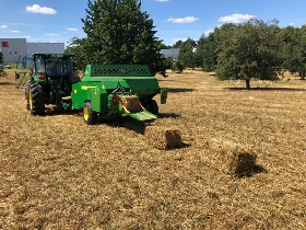 Galerie John Deere Hochdruckpresse S180 im Ersteinsatz anzeigen.